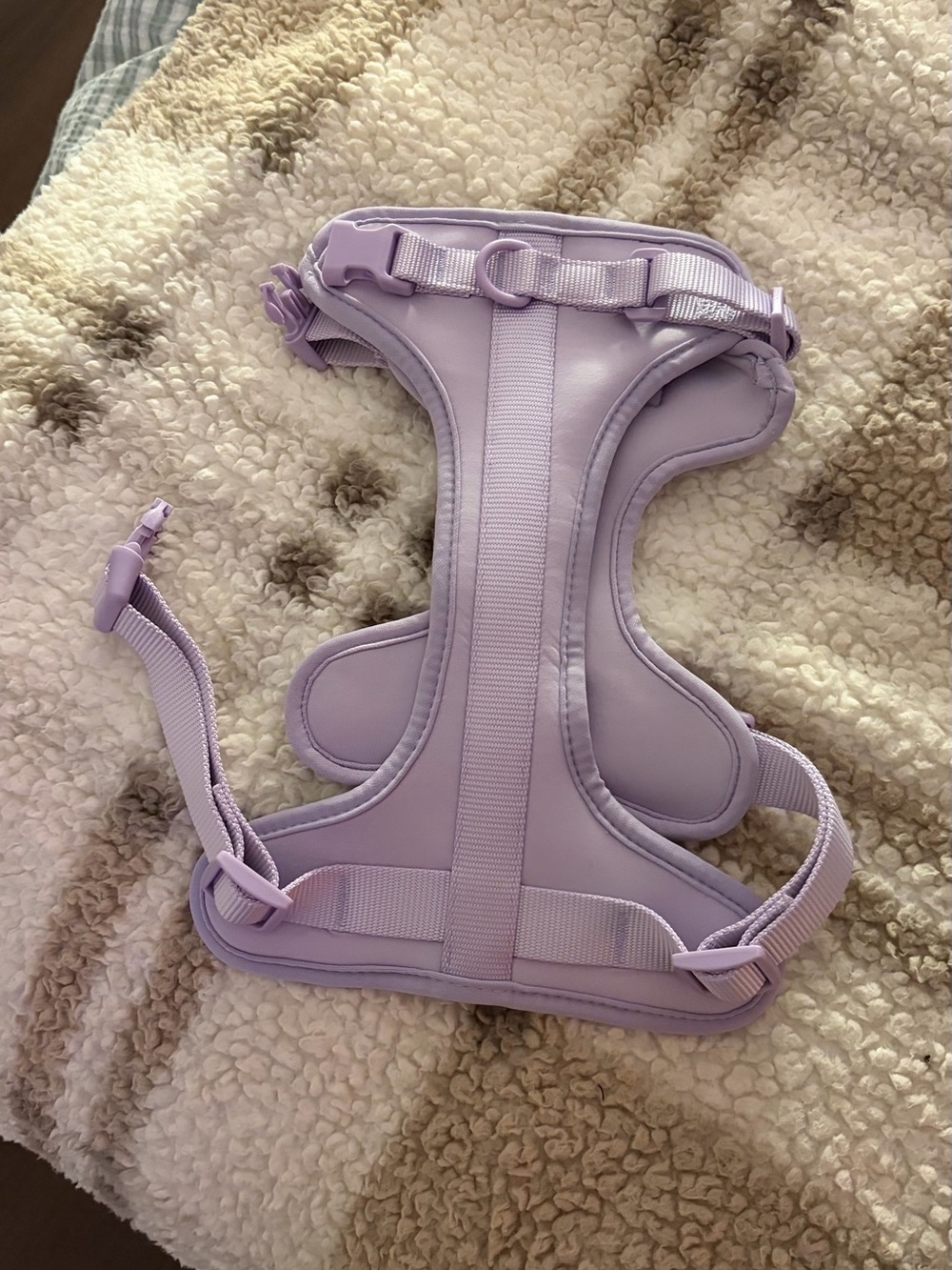 Wild One lavender dog harness